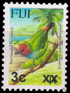 Red-headed Parrotfinch (Erythrura cyaneovirens pealii)