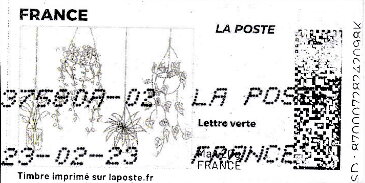 4 Hanging Plants. Redesign without laposte logo