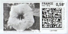 Stamp, White Hibiscus in black, France,  , Flowers, Plants (Flora)