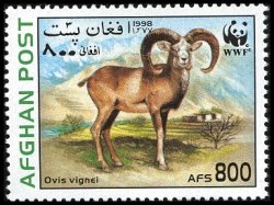 Stamp, Urial (Ovis orientalis vignei), Afghanistan,  , WWF