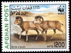 Stamp, Urial (Ovis orientalis vignei), Afghanistan,  , WWF