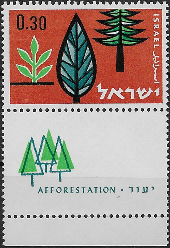 Afforestation - Symbolic Trees