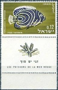 Stamp with Collectible Margin, Emperor Angelfish (Pomacanthus imperator), Israel,  , Animals (Fauna), Fishes, Sea Life