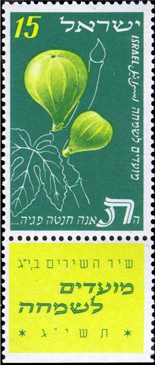 Fig (Ficus carica)