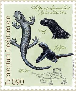 Stamp, Alpine Salamander (Salamandra atra), Liechtenstein,  , Animals (Fauna), Salamander