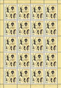 Full Pane, Alpine Silver Ant (Formica selysi), Liechtenstein,  , Animals (Fauna), Insects