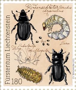Stamp, Ceruchus Beetle (Ceruchus chrysomelinus), Liechtenstein,  , Animals (Fauna), Insects