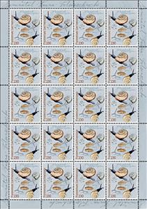 Full Pane, Chilostoma singulatum, Liechtenstein,  , Animals (Fauna), Insects