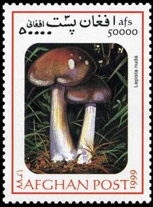 Stamp, Lepista nuda, Afghanistan,  , Mushrooms
