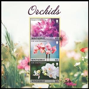 Mini Sheet, Orchids, Montserrat,  , Flowers, Orchids, Plants (Flora)