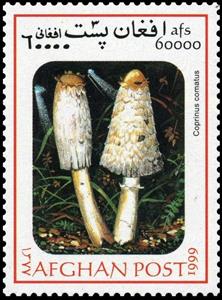 Stamp, Coprinus comatus, Afghanistan,  , Mushrooms