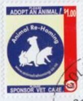 Animal Re-Homing