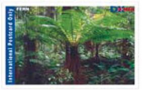 Stamp, Ferns in Forest, Personalized and Private Mail Stamps,  , Ferns, Plants (Flora), Rainforest, Trees