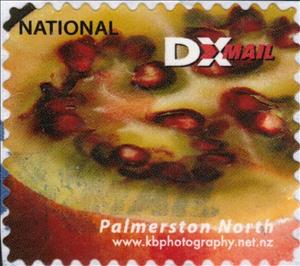 Stamp, KB Photography. Tamarilo, Personalized and Private Mail Stamps,  , Advertisements