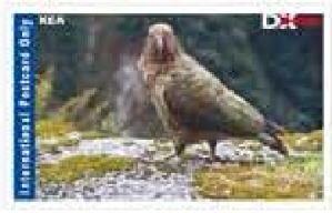 Stamp, Kea, Personalized and Private Mail Stamps,  , Animals (Fauna), Birds