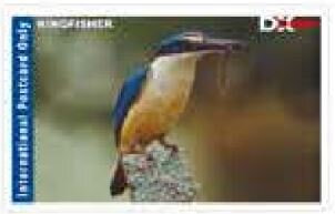 Stamp, Kingfisher, Personalized and Private Mail Stamps,  , Animals (Fauna), Birds
