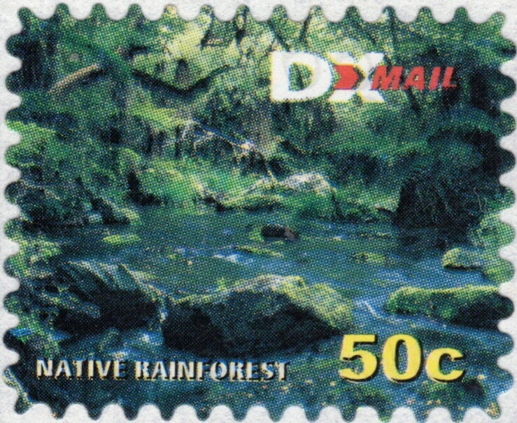Native Rainforest