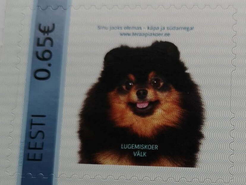 Teraapiakoer Välk
