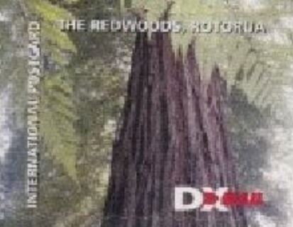 The Redwoods Rotorua - Redwood Canopy