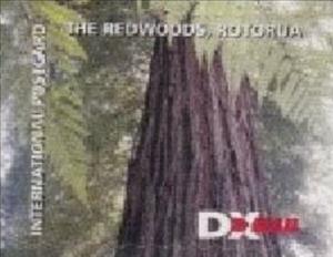 Stamp, The Redwoods Rotorua - Redwood Canopy, Personalized and Private Mail Stamps,  , Plants (Flora), Trees