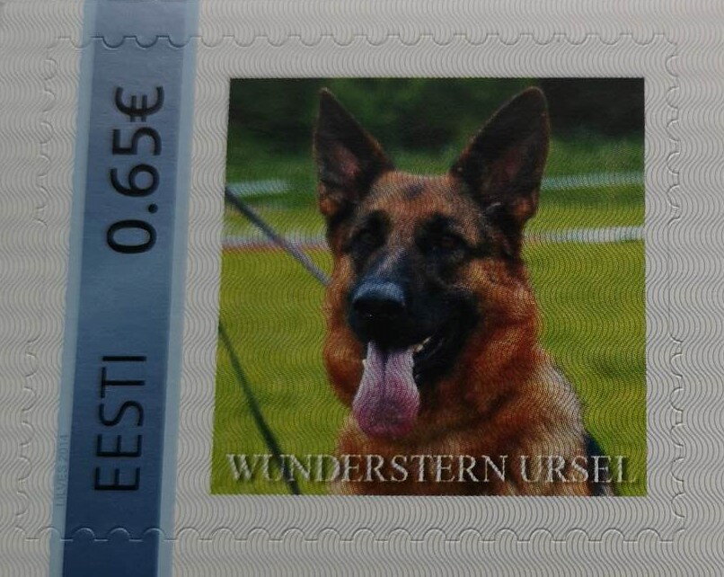 Wunderstern Ursel