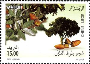 Stamp, Cork Oak, Algeria,  , Trees, International Years, Plants (Flora)