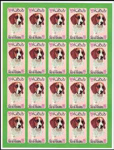 Full Pane, Beagle (Canis lupus familiaris), Ras al Khaimah,  , Animals (Fauna), Dogs, Mammals