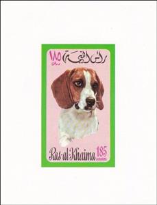 Souvenir Sheet, Beagle (Canis lupus familiaris), Ras al Khaimah,  , Animals (Fauna), Dogs, Mammals
