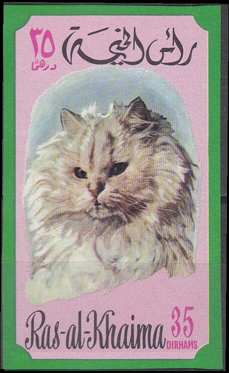 Cat (Felis silvestris catus)