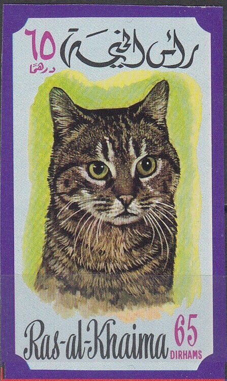 Cat (Felis silvestris catus)