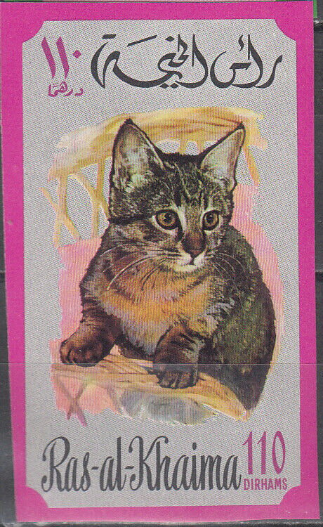 Cat (Felis silvestris catus)