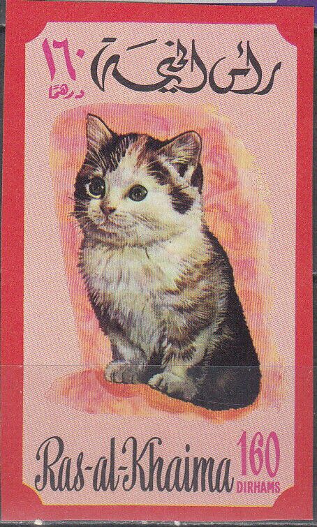 Cat (Felis silvestris catus)