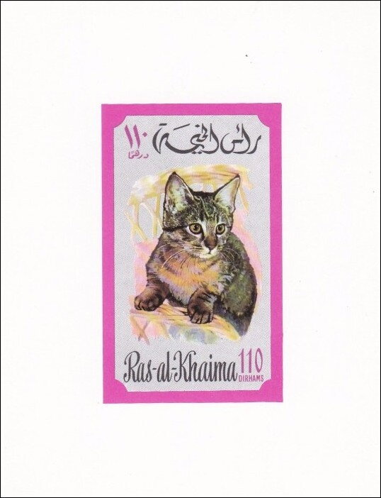 Cat (Felis silvestris catus)