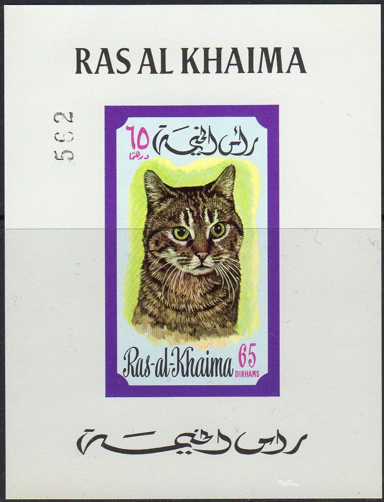 Cat (Felis silvestris catus)