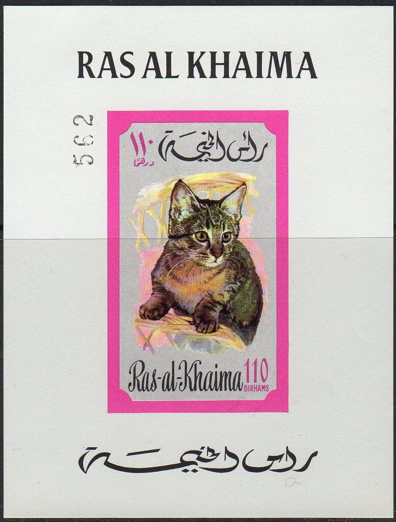 Cat (Felis silvestris catus)