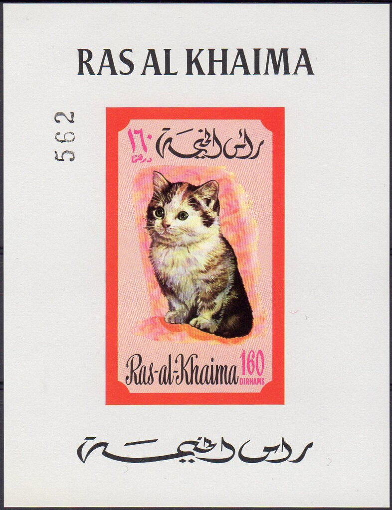 Cat (Felis silvestris catus)