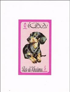 Souvenir Sheet, Dachshund (Canis lupus familiaris), Ras al Khaimah,  , Animals (Fauna), Dogs, Mammals