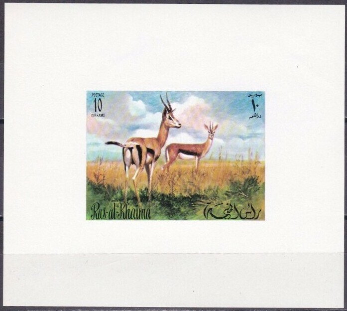 Impala (Aepyceros melampus)