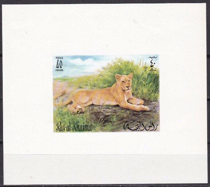 Lion (Panthera leo)