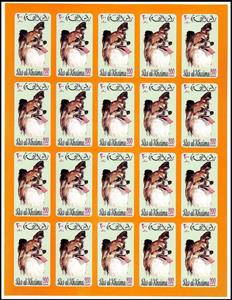 Full Pane, Papillon (Canis lupus familiaris), Ras al Khaimah,  , Animals (Fauna), Dogs, Mammals