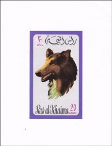 Souvenir Sheet, Rough Collie (Canis lupus familiaris), Ras al Khaimah,  , Animals (Fauna), Dogs, Mammals