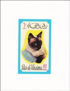 Souvenir Sheet, Siamese Cat (Felis silvestris catus), Ras al Khaimah,  , Animals (Fauna), Cats, Mammals
