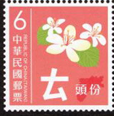 ㄊand Tung Blossom (Vernicia fordii)