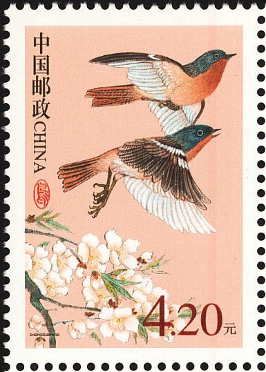 Przevalski's Redstart (Phoenicurus alaschanicus)