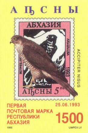 Eurasian sparrowhawk (Accipiter nisus)
