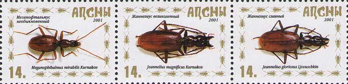 Insects of Abkhazia