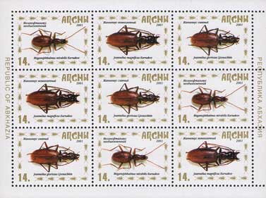 Insects of Abkhazia