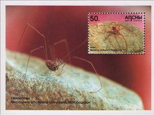 Souvenir Sheet, Nesticus zaitzevi Charitonov, Abkhazia,  , Animals (Fauna)