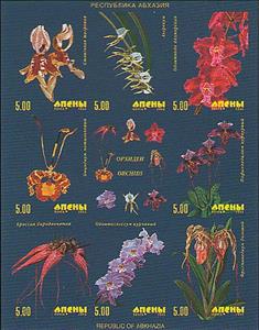 Full Pane, Orchids, Abkhazia,  , Flowers, Orchids, Plants (Flora)