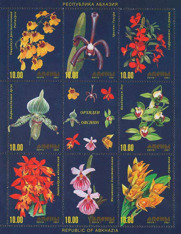Orchids